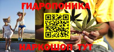 каннабис Кимры