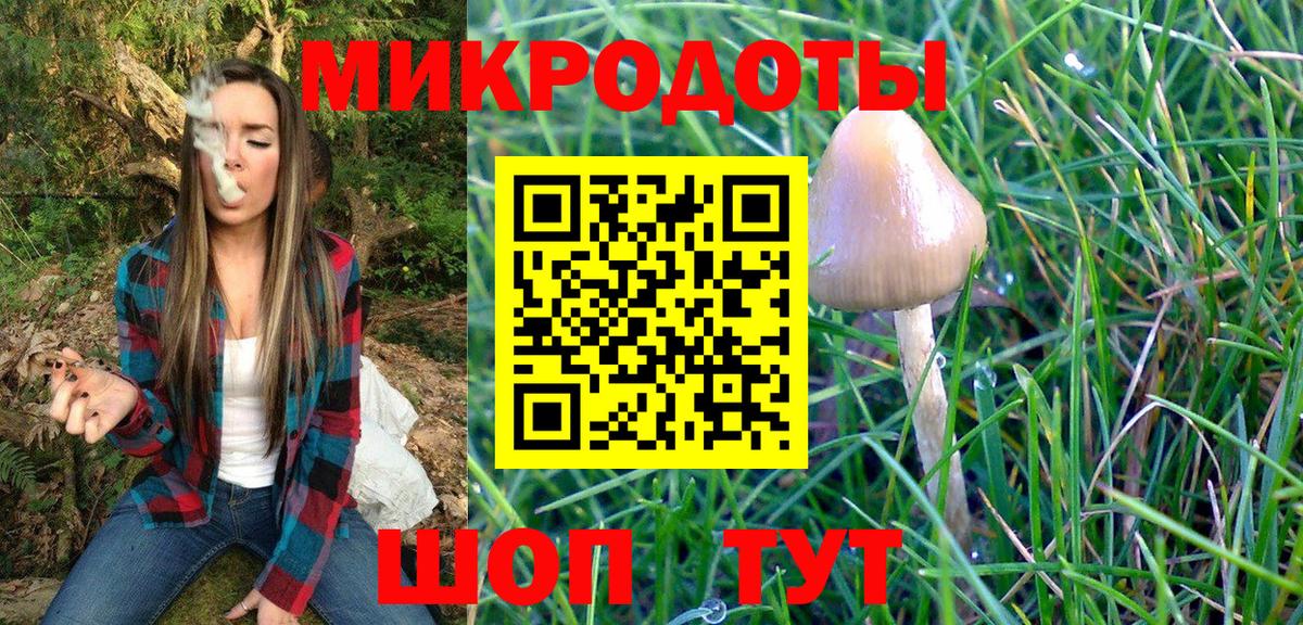 Псилоцибиновые грибы GOLDEN TEACHER Зеленокумск